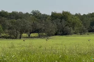 3927 County Rd 3210, Kempner, TX 76539 - Photo 6