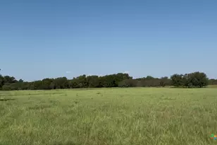 3927 County Rd 3210, Kempner, TX 76539 - Photo 10