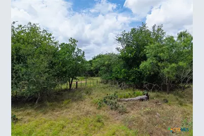 3927 County Road 3210, Kempner, TX 76539 - Photo 36