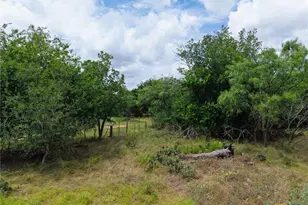 3927 County Rd 3210, Kempner, TX 76539 - Photo 36