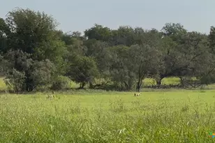 3927 County Rd 3210, Kempner, TX 76539 - Photo 10