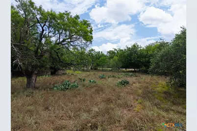 3927 County Road 3210, Kempner, TX 76539 - Photo 38