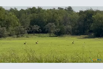 3927 County Road 3210, Kempner, TX 76539 - Photo 6