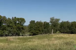 3927 County Rd 3210, Kempner, TX 76539 - Photo 8