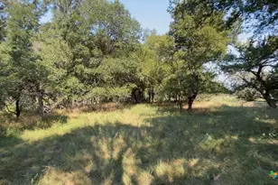 3927 County Rd 3210, Kempner, TX 76539 - Photo 12