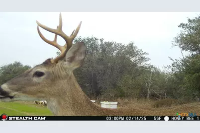 000 County Road 18, Hallettsville, TX 77964 - Photo 1