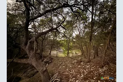 1059 Summit Bluff, Canyon Lake, TX 78133 - Photo 6