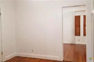 1123 W Coll St, New Braunfels, TX 78130 - Photo 10