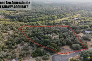 810 Bluff Ridge Ct, New Braunfels, TX 78132 - Photo 40