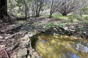 Tbd County Road 174, Gatesville, TX 76528 - Photo 26