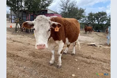 Tbd County Road 174, Gatesville, TX 76528 - Photo 18