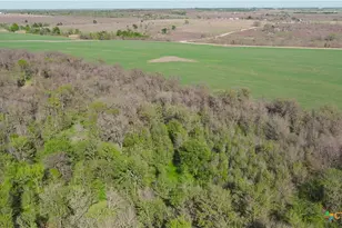 2396-E County Road 112, Buckholts, TX 76518 - Photo 10