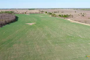 2396-E County Road 112, Buckholts, TX 76518 - Photo 6