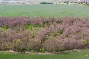 2396-E County Road 112, Buckholts, TX 76518 - Photo 12