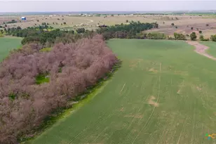 2396-E County Road 112, Buckholts, TX 76518 - Photo 20