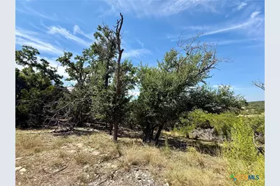 640 Crossman, Fischer, TX 78623 - Photo 4