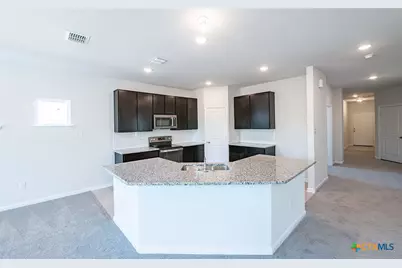 309 Ivy Roads, Seguin, TX 78155 - Photo 4