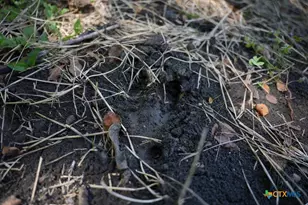 0000 East Gillis St, Cameron, TX 76520 - Photo 28