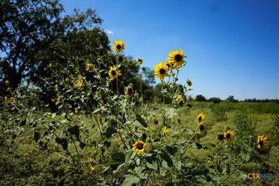 0000 East Gillis Street, Cameron, TX 76520 - Photo 14