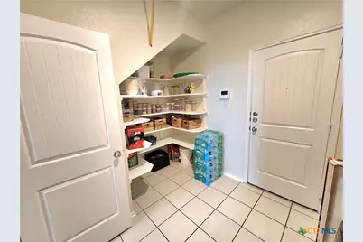 320 Tordesillas Drive, Georgetown, TX 78626 - Photo 22