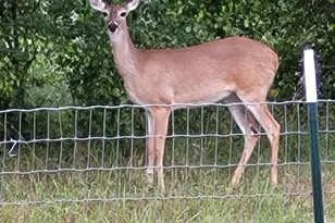 19707 FM 485, Burlington, TX 76519 - Photo 30