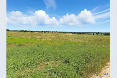 Tbd-176 Acres Fm 116 Road, Gatesville, TX 76528 - Photo 8