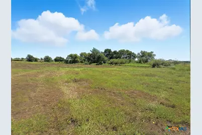 Tbd-176 Acres Fm 116 Road, Gatesville, TX 76528 - Photo 12