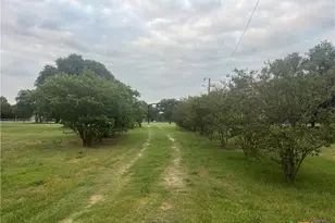 10030 Fm 439, Belton, TX 76513 - Photo 4