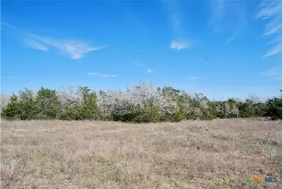 1485 Davis Road, Flatonia, TX 78949 - Photo 14