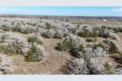 1485 Davis Road, Flatonia, TX 78949 - Photo 8