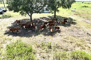 000-A Juan Antonio Rd, Victoria, TX 77904 - Photo 10