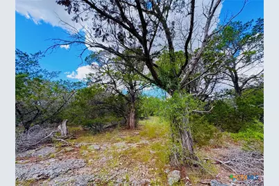 2850 County Road 213, Jonesboro, TX 76538 - Photo 32