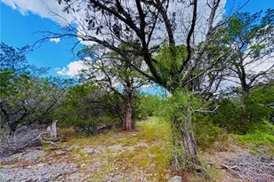 2850 Co Rd 213, Jonesboro, TX 76538 - Photo 32