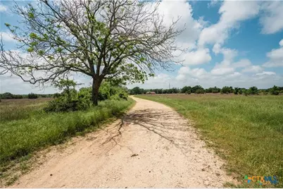 2850 County Road 213, Jonesboro, TX 76538 - Photo 2
