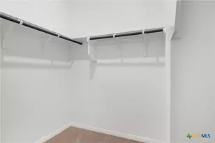 149 Cutleaf Cove, San Marcos, TX 78666 - Photo 16