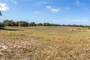 23383 Mathis Rd, Elmendorf, TX 78112 - Photo 26