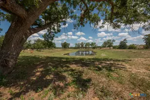6887 Von Ormy Rd, Von Ormy, TX 78073 - Photo 46