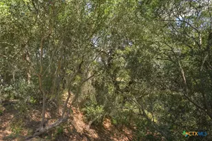 6887 Von Ormy Rd, Von Ormy, TX 78073 - Photo 38