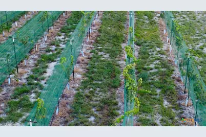 15049 Ranch Road 101, Kempner, TX 76539 - Photo 16