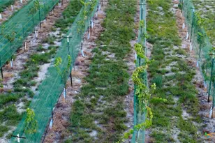 15049 Ranch Rd 101, Kempner, TX 76539 - Photo 16