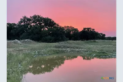 15049 Ranch Road 101, Kempner, TX 76539 - Photo 4