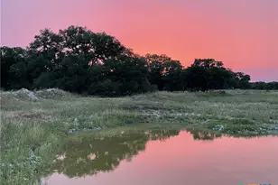 15049 Ranch Rd 101, Kempner, TX 76539 - Photo 4