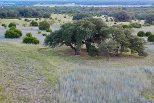 15049 Ranch Rd 101, Kempner, TX 76539 - Photo 24
