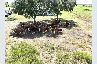 000-A Juan Antonio Road, Victoria, TX 77904 - Photo 10