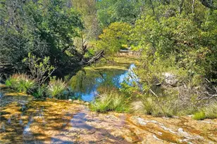 2977 Fm 1241, Purmela, TX 76566 - Photo 44