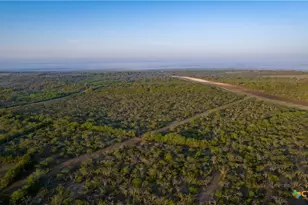 8440 State Hwy 239, Goliad, TX 77963 - Photo 16