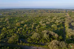 8440 State Hwy 239, Goliad, TX 77963 - Photo 24