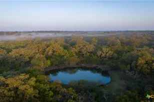 8440 State Hwy 239, Goliad, TX 77963 - Photo 8