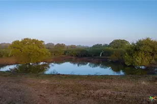 8440 State Hwy 239, Goliad, TX 77963 - Photo 6