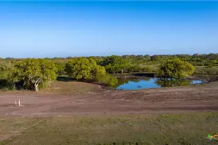 8440 State Hwy 239, Goliad, TX 77963 - Photo 44